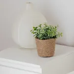 Family With Parking & Terrace By Renters